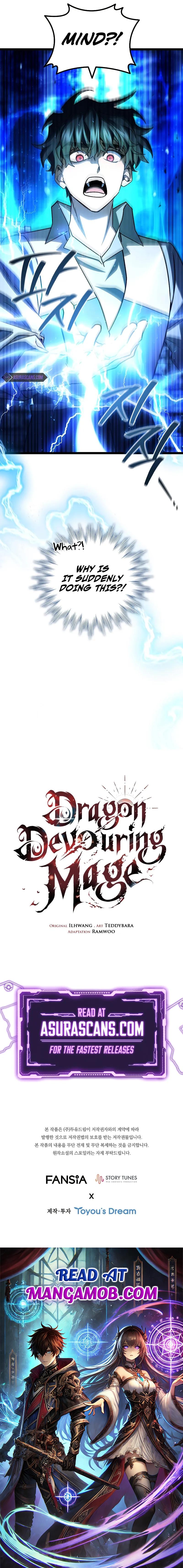 Dragon-Devouring Mage Chapter 75 13